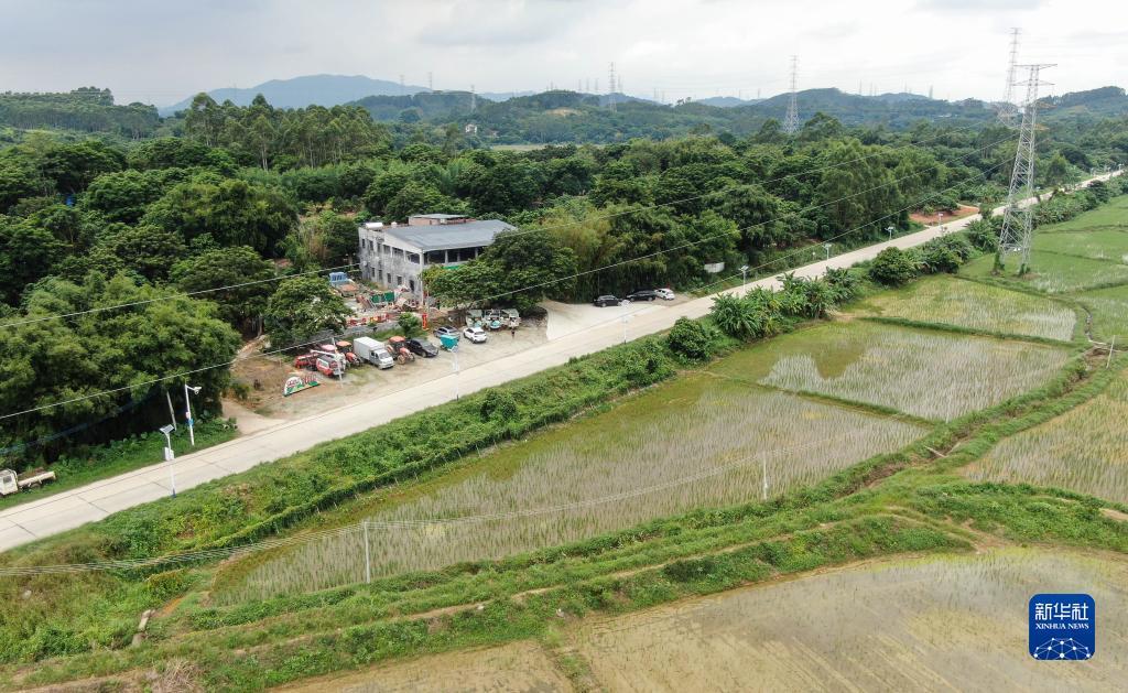 大红鹰官网